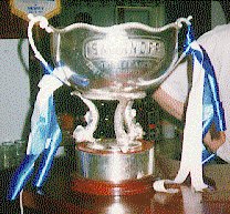 The First Division Cup